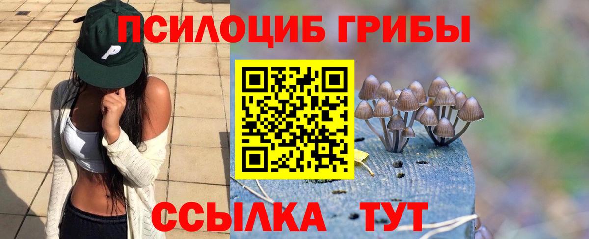 Галлюциногенные грибы мухоморы  Вход с VPN  Качканар 